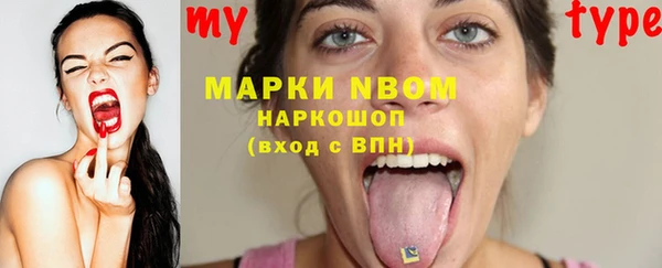 гидропоника Бородино