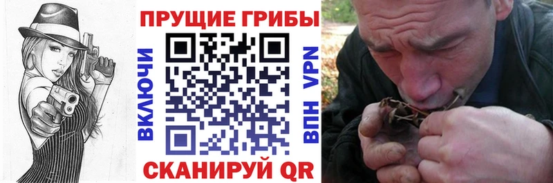 Псилоцибиновые грибы ЛСД  Черногорск 